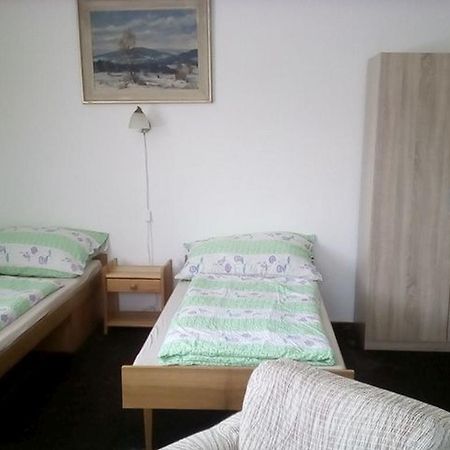 Apartment Vysocina Svratka Eksteriør bilde