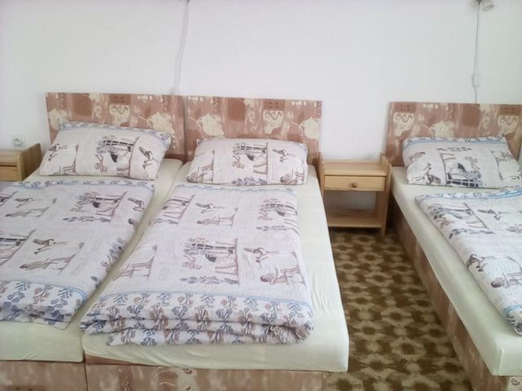Apartment Vysocina Svratka Eksteriør bilde